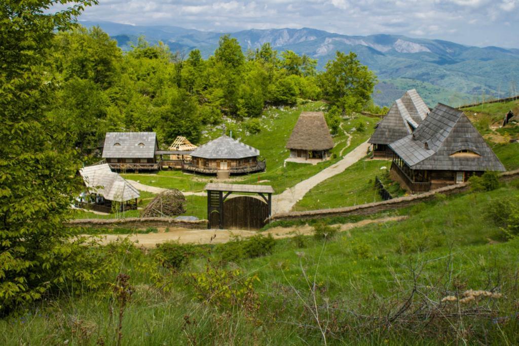 Raven'S Nest Hotel Salciua de Jos Luaran gambar