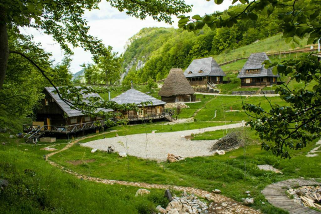 Raven'S Nest Hotel Salciua de Jos Luaran gambar