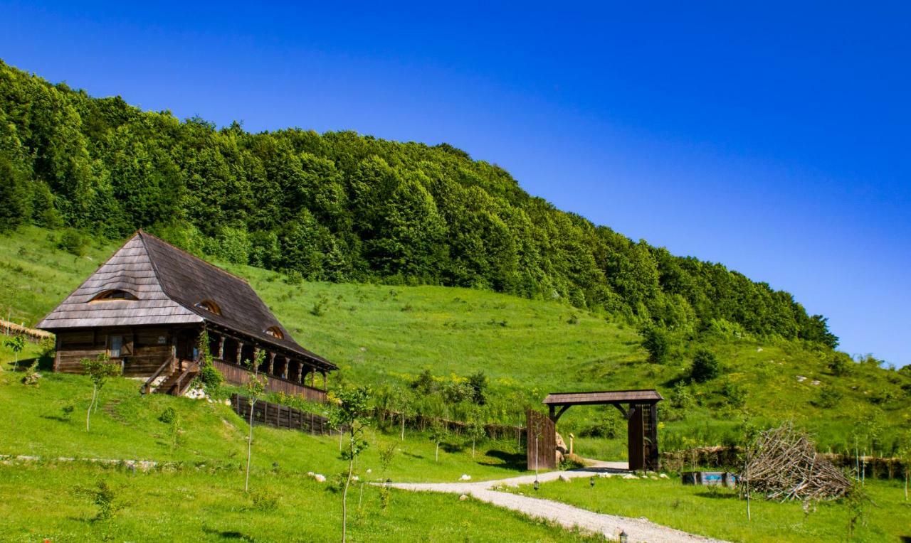 Raven'S Nest Hotel Salciua de Jos Luaran gambar